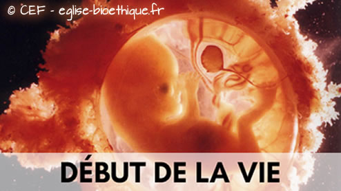 Début de la vie Début de la vie