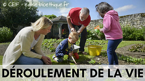 Déroulement de la vie Déroulement de la vie