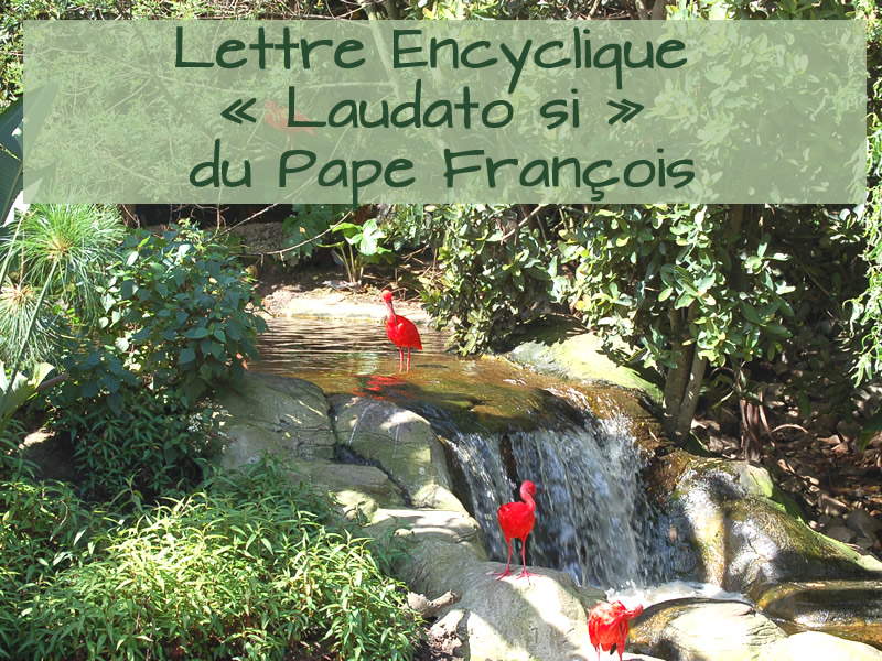 Cliquez sur l'image Cliquez sur l'image